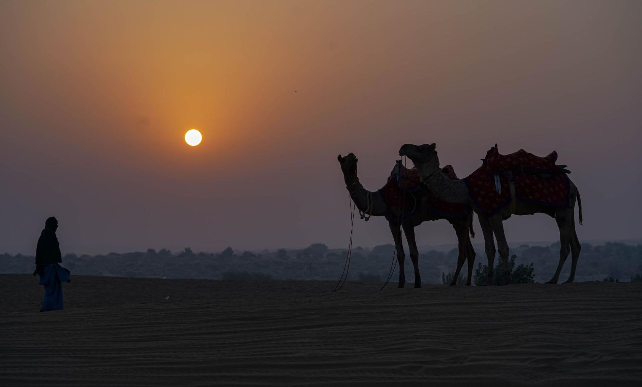Camel ride in Jaisalmer