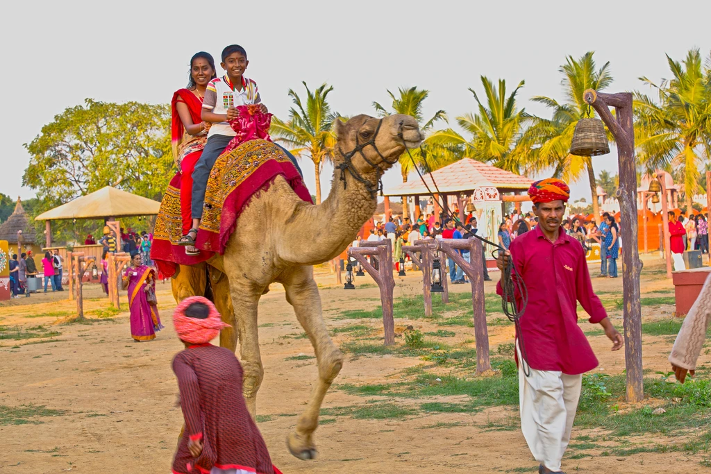 Camel safari in Jaisalmer