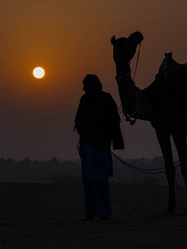 Camel Ride