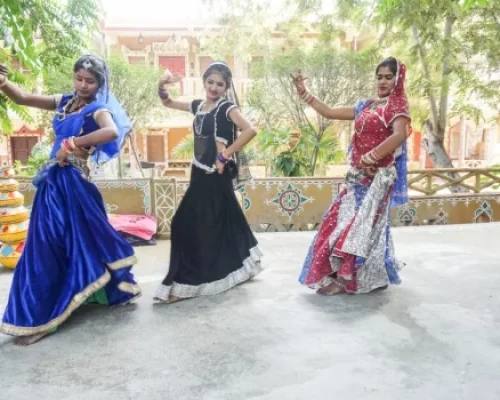 Folk Dance and Music Shows